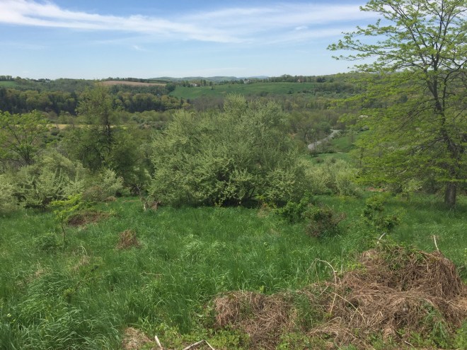 Trexler Nature Preserve 1