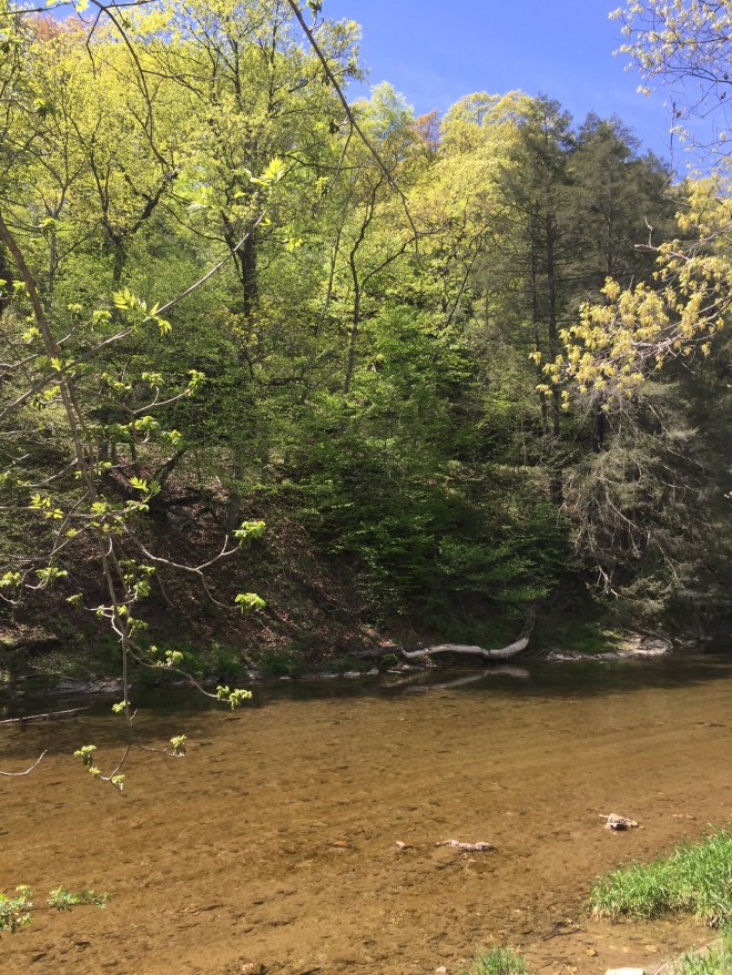 Trexler Nature Preserve 2